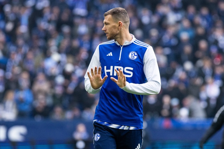 德国足协官方：上轮德乙联赛染红，沙尔克04前锋哲科被停赛2场