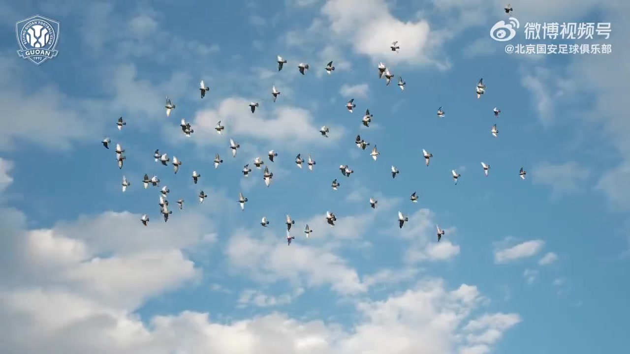 比赛日｜中超第3轮 北京国安VS上海申花